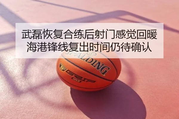武磊恢复合练后射门感觉回暖 海港锋线复出时间仍待确认